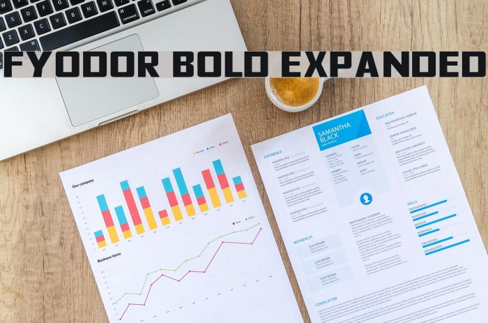 Fyodor Bold Expanded Font examples