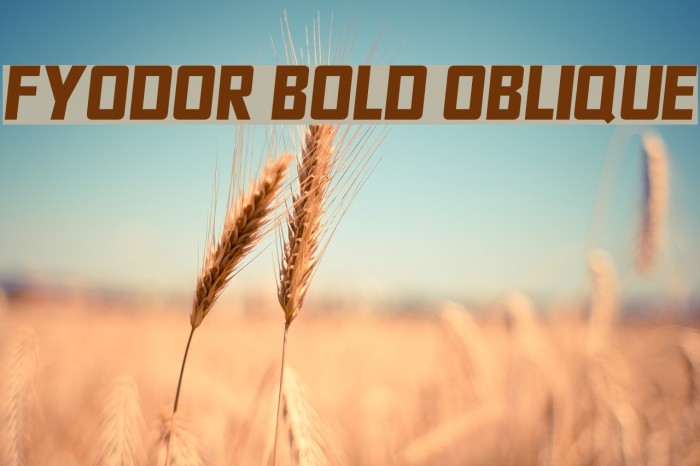 Fyodor Bold Oblique Font examples