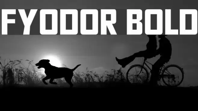 Fyodor Bold Font examples