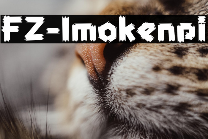 FZ-Imokenpi Example 1