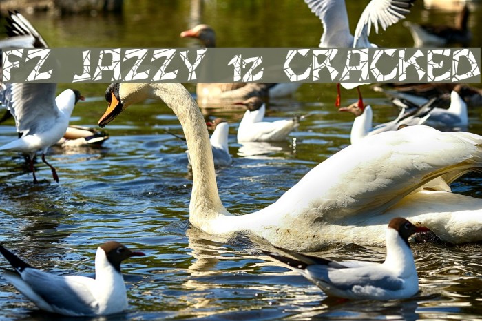 FZ JAZZY 12 CRACKED Fonte examples