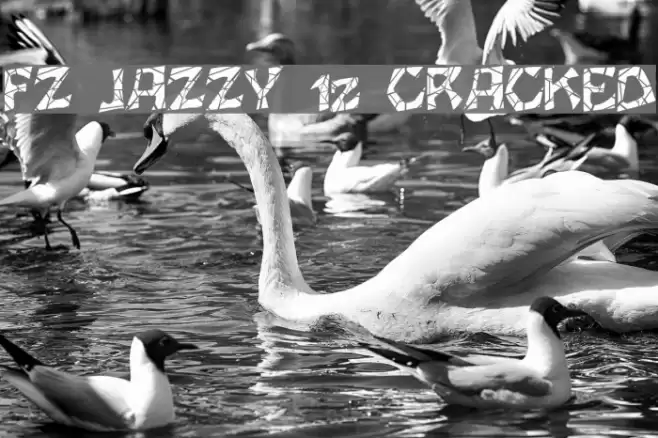 FZ JAZZY 12 CRACKED Font examples