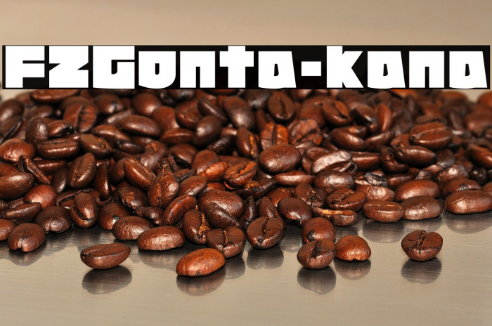 FZGonta-kana Example 1