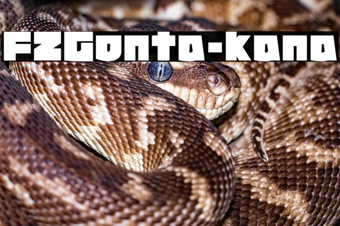 FZGonta-kana Example 2