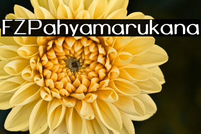 FZPahyamarukana Example 3