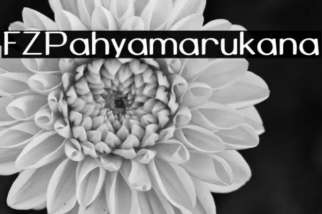 FZPahyamarukana Schriftart examples