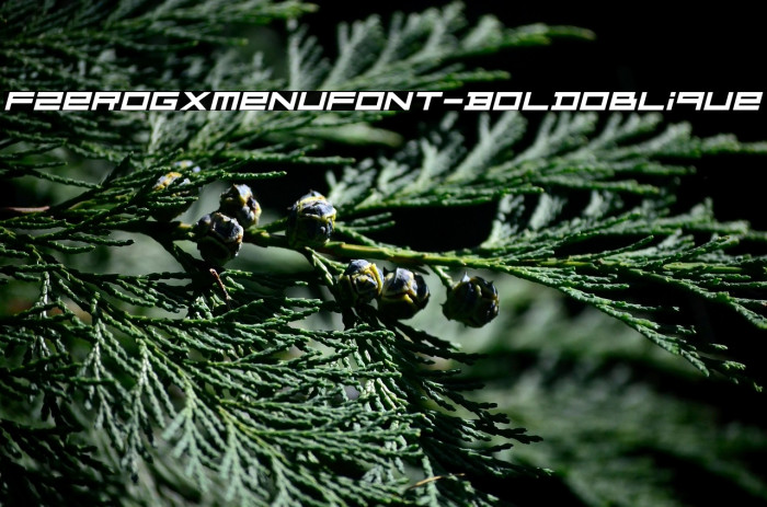 FZeroGXMenuFont-BoldOblique Example 1