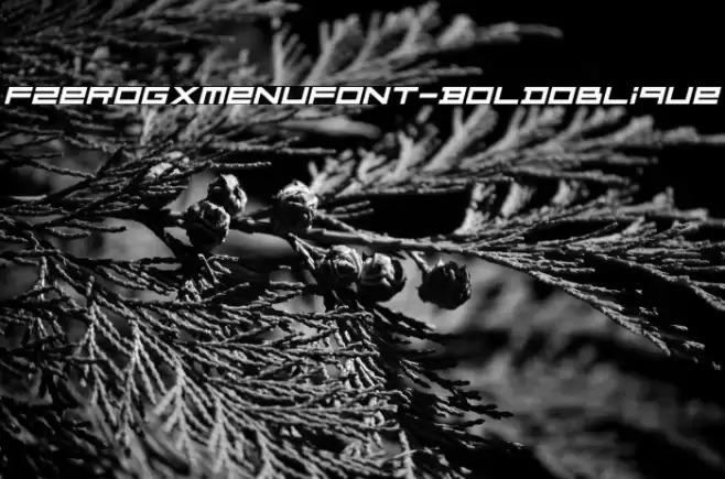 FZeroGXMenuFont-BoldOblique Fuentes examples