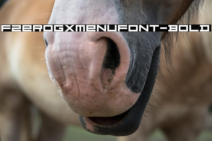 FZeroGXMenuFont-Bold Example 2