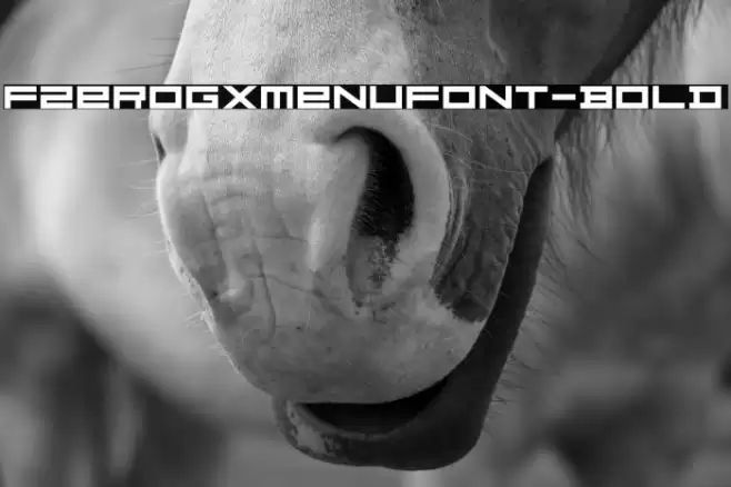 FZeroGXMenuFont-Bold خط examples