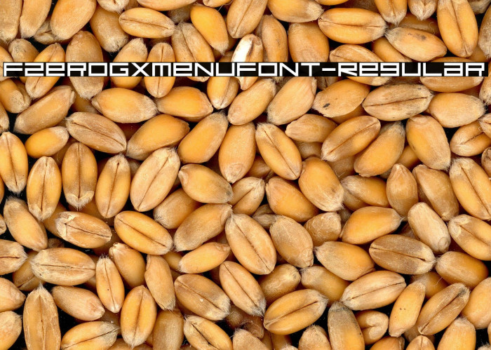 FZeroGXMenuFont-Regular Example 1