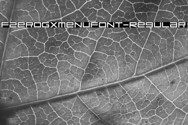 FZeroGXMenuFont-Regular Font examples