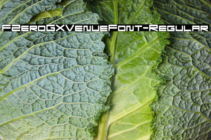 FZeroGXVenueFont-Regular Example 3