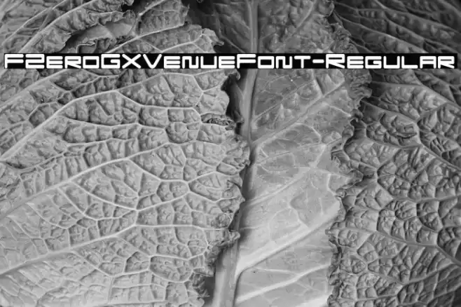 FZeroGXVenueFont-Regular Шрифта examples