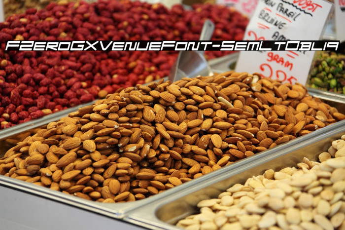 FZeroGXVenueFont-SemLtObliq Example 3