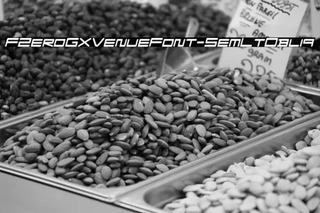 FZeroGXVenueFont-SemLtObliq Font examples