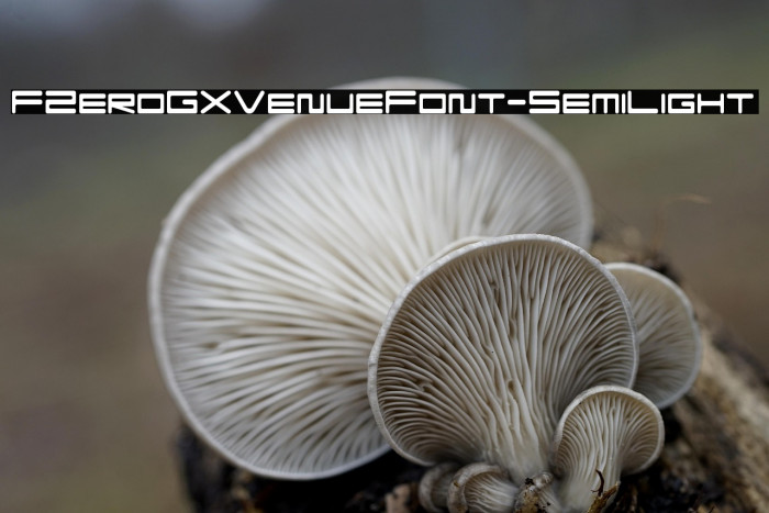 FZeroGXVenueFont-SemiLight Example 1