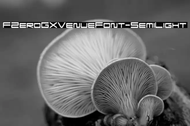FZeroGXVenueFont-SemiLight फ़ॉन्ट examples