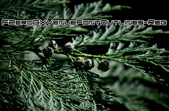 FZeroGXVenueFontOutlines-Reg Example 1