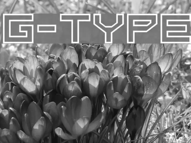 G-Type Font examples