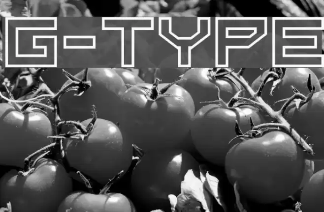 G-Type Fonte examples