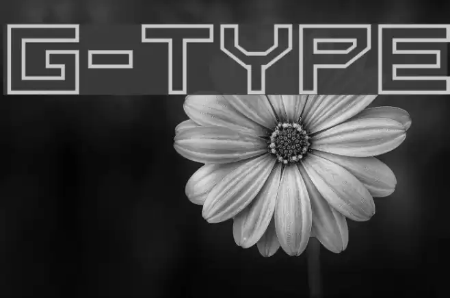 G-Type Fonte examples