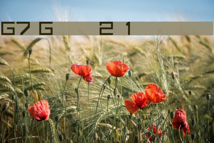 G7 Gradius2[1 byte font] Example 1