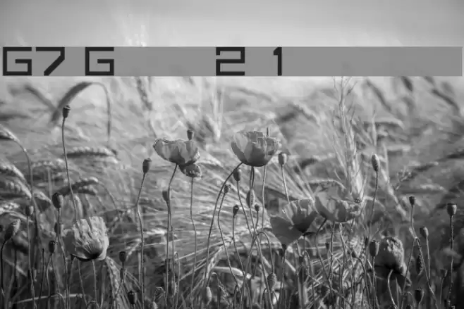 G7 Gradius2[1 byte font] フォント examples