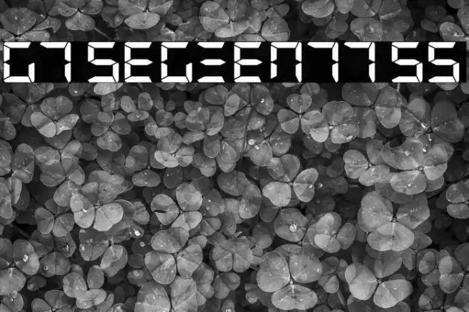 G7 Segment7 S5 Schriftart examples
