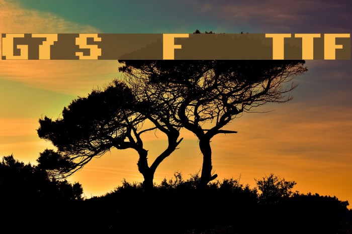 G7 Star Force TTF Font examples