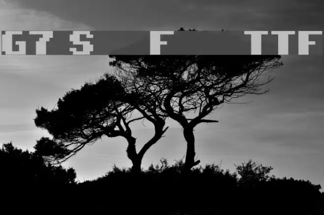 G7 Star Force TTF フォント examples