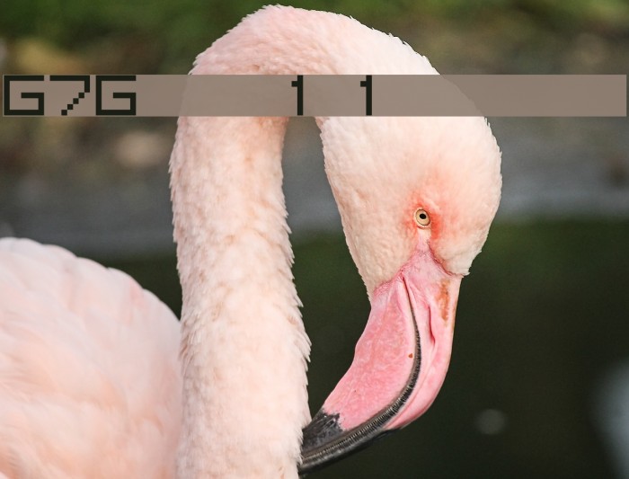 G7Gradius1[1 byte font] Example 1