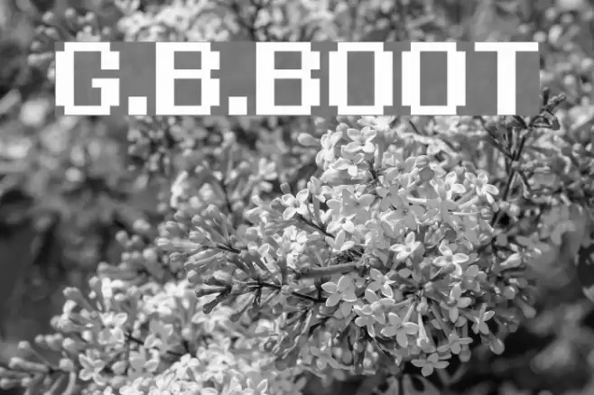 G.B.BOOT Font examples
