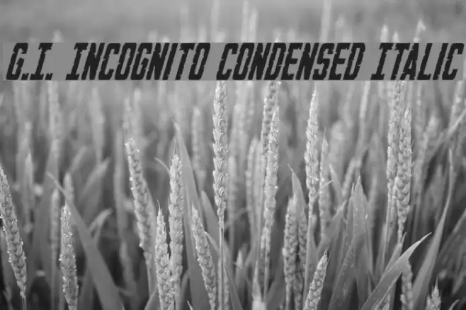 G.I. Incognito Condensed Italic Fonte examples
