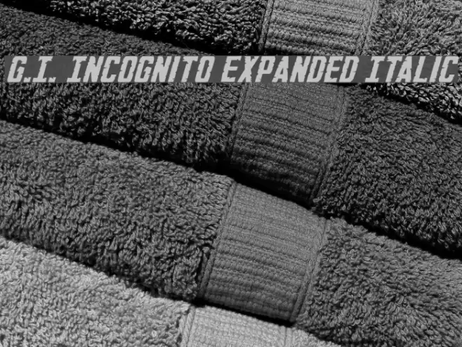 G.I. Incognito Expanded Italic Font examples