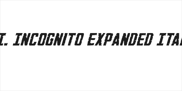 G.I. Incognito Expanded Italic Logo