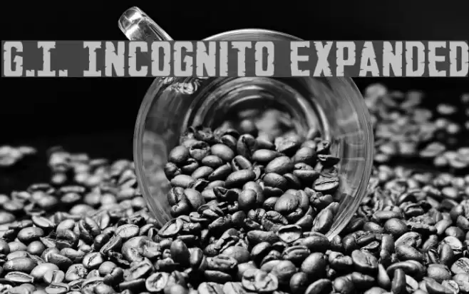 G.I. Incognito Expanded フォント examples