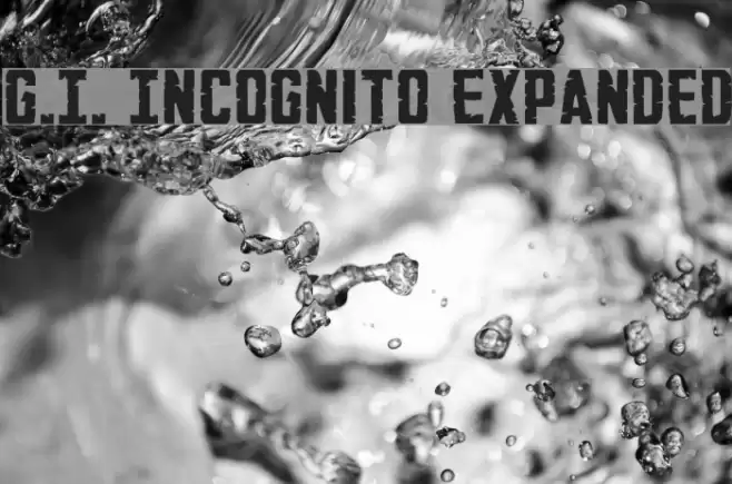 G.I. Incognito Expanded フォント examples