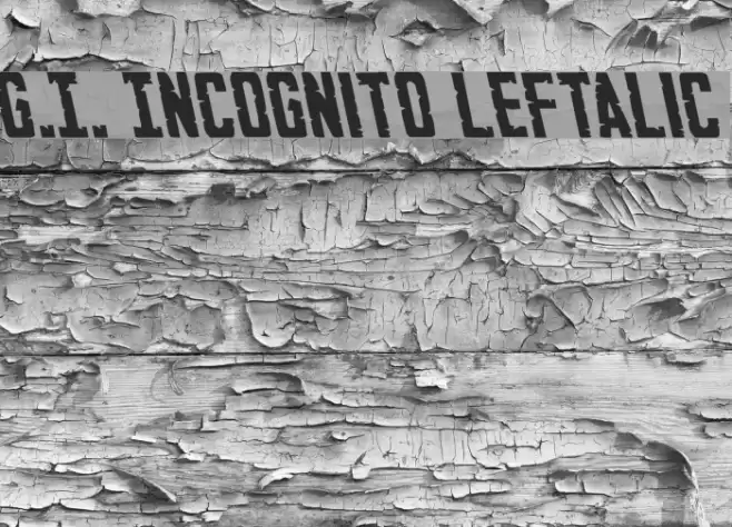 G.I. Incognito Leftalic Font examples
