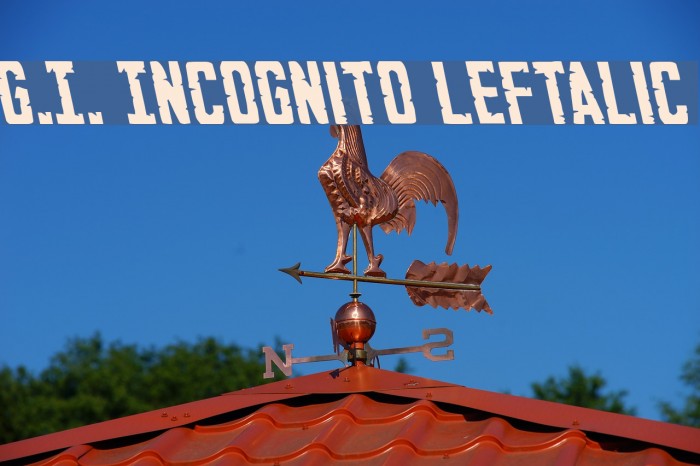 G.I. Incognito Leftalic Font examples