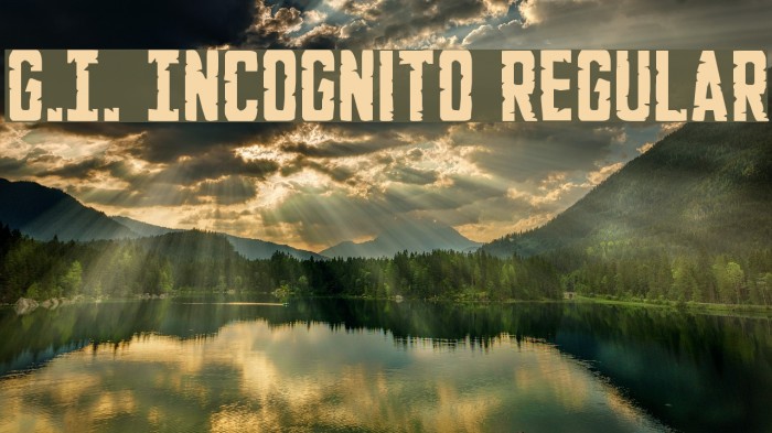 G.I. Incognito Regular Font examples