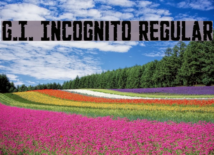 G.I. Incognito Regular Font examples