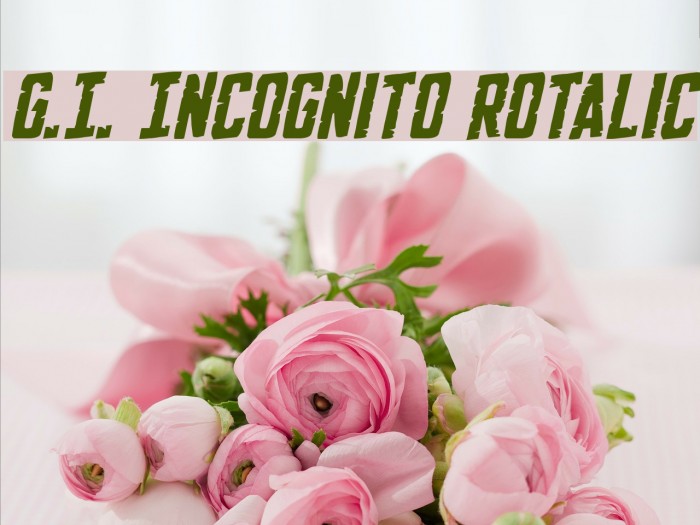 G.I. Incognito Rotalic Font examples