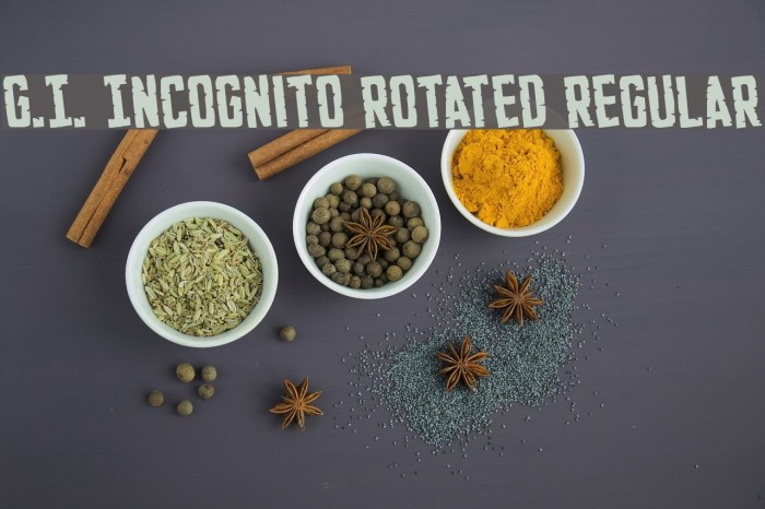 G.I. Incognito Rotated Regular Font examples
