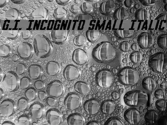 G.I. Incognito Small Italic Font examples