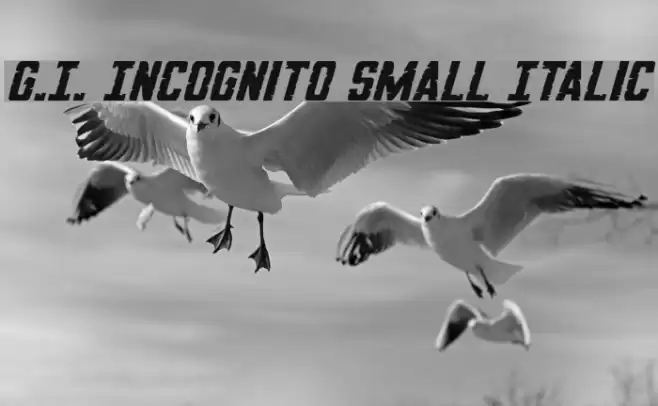 G.I. Incognito Small Italic Font examples