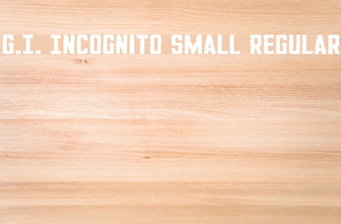 G.I. Incognito Small Regular Font examples