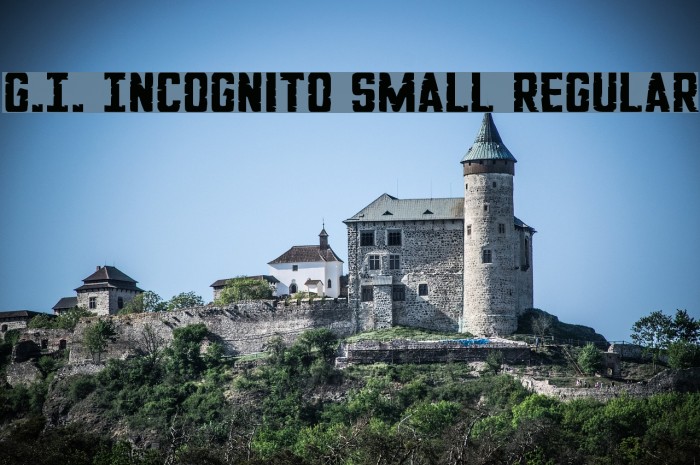 G.I. Incognito Small Regular Font examples