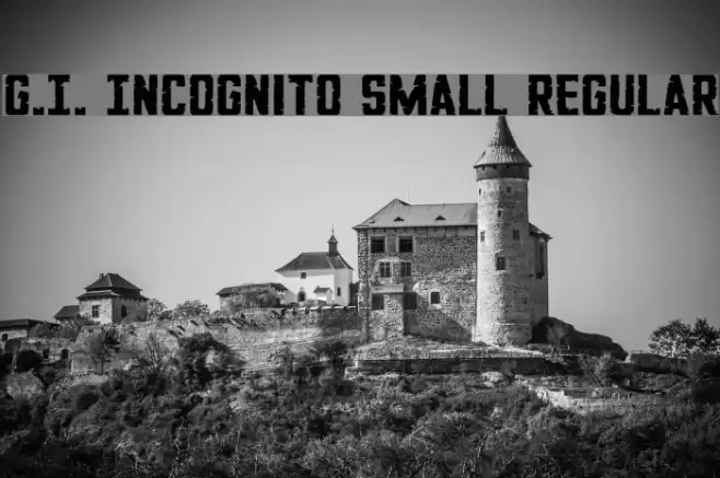 G.I. Incognito Small Regular Schriftart examples