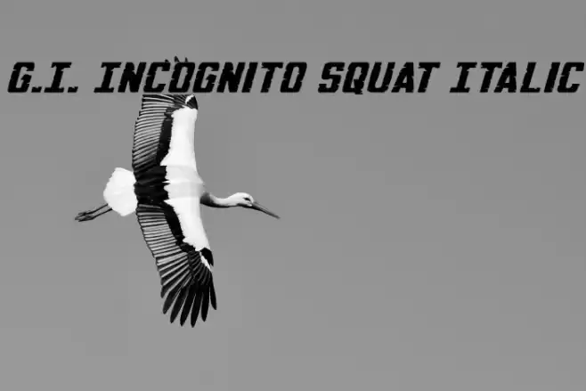 G.I. Incognito Squat Italic Font examples